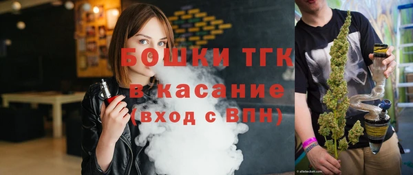 стаф Новокубанск