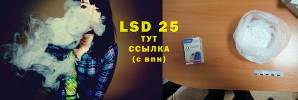 тгк Новодвинск