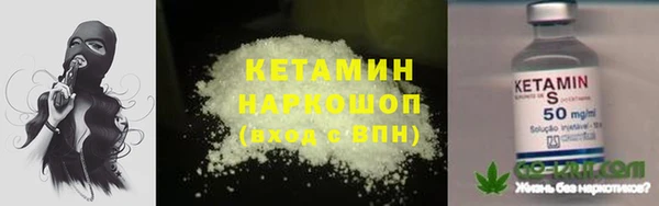 стаф Новокубанск