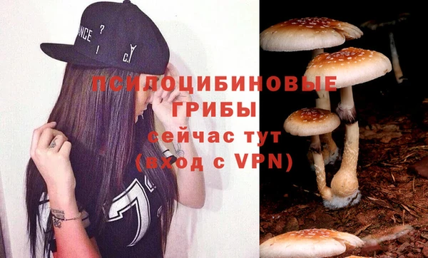 тгк Новодвинск