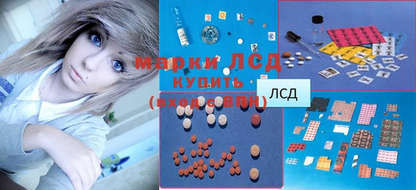стаф Новокубанск