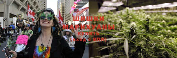 тгк Новодвинск