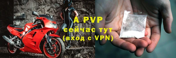 тгк Новодвинск