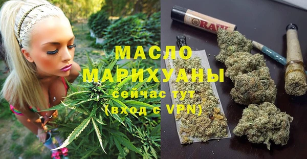 тгк Новодвинск
