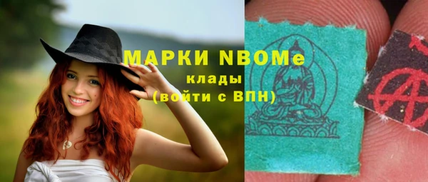 тгк Новодвинск