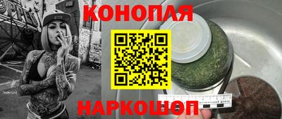мдпв Камышлов