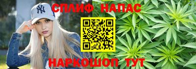 мдпв Камышлов