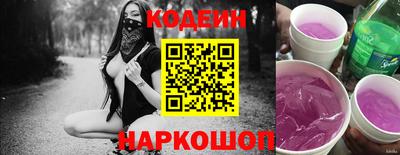 мдпв Камышлов