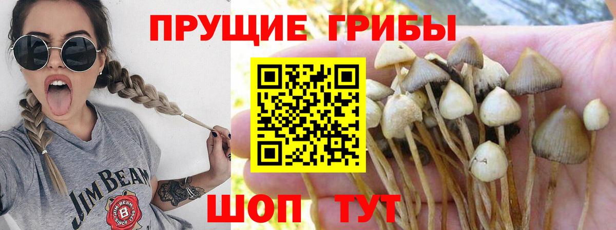 Галлюциногенные грибы ЛСД Нижневартовск
